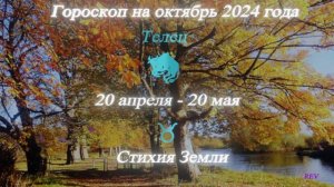 Телец. Точный гороскоп на октябрь 2024 года в год Дракона.