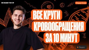 Все круги кровообращения за 10 минут | ОГЭ по биологии | 100балльный