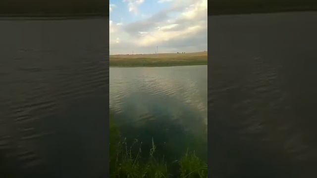 Лидия Могутова видит красоты родного края #благодаря #капли #формулазрения #алоэвера #биозан #явижу
