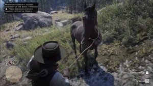 Гайд — где найти хорошую лошадь в ➤ red dead redemption 2