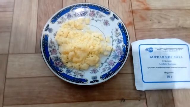 Как избавиться от тараканов в домашних условиях смотреть онлайн