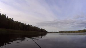Колково. Ловля щуки в сентябре на пруду. Рыбалка на щуку осенью. Воблеры на осеннюю щуку. Твичинг