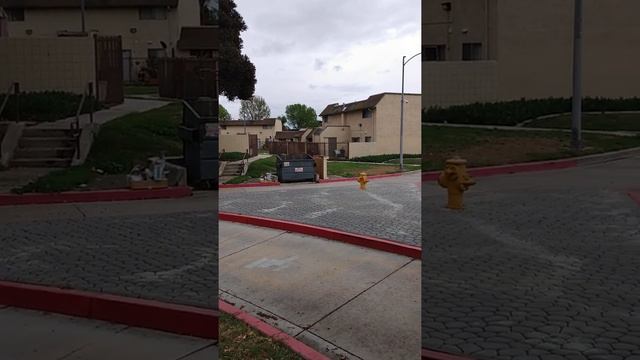 Nueva Maravilla (MARAVILLA Projects) Sat. Jan 23, 2021 смотреть онлайн