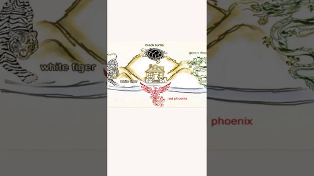 Билл Гейтс и Фен-Шуй