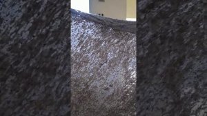 неадекватная уборщица в детской поликлинике 8, г Краснодар, ул. 9 тихая 5
