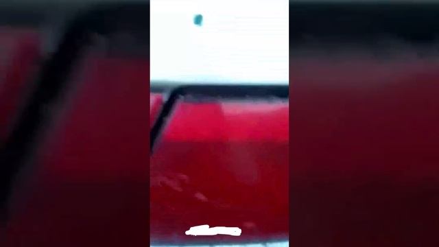 «Мошкоапокалипсис» произошёл в тувинском Кызыле
