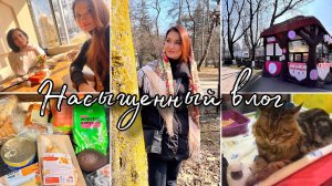 ВЫСТАВКА/ ПОДРУГА/ МАЗЬ ОТ ПРЫЩЕЙ/ ВКУСВИЛЛ/ ЛЕГКИЙ СУП