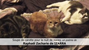 Soupe de carotte pour la nuit de noces - Raphaël Zacharie de IZARRA