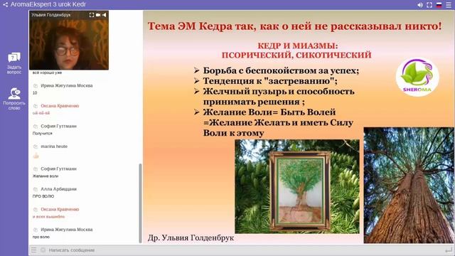 Эфирное масло Кедра и Желание Быть! Рекомендации др.Ульвия Голденбрук #сакральнаяароматерапия смотреть онлайн