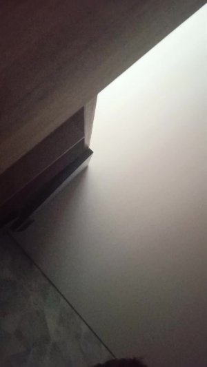 Спрашивайте что хотите