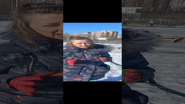 С чего начать дрессировку