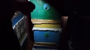 Зимовка пчел на улице. Кому и когда давать Канди или Мед