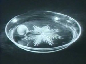 Бифуркации (Бифуркация) (1986)