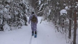 Охота капканами на лис. Испытание капкана Тайга-3 М