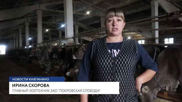 Новости Княгинино