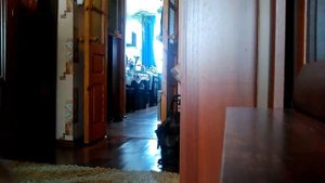 Упал. Скользкий пол