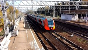 ЭТОТ СЛАДКИЙ ЗВУК РАЗГОНА ЛАСТОЧКИ. АПОКАЛИПСИС ЛАСТОЧЕК НА ПЛ. МАЛИНО . 3 ЛАСТОЧКИ ЗА 2 МИНУТЫ.