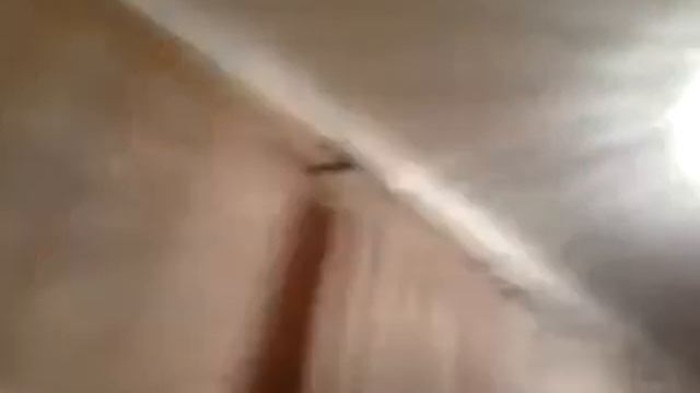 Летучая мышь в хате смотреть онлайн