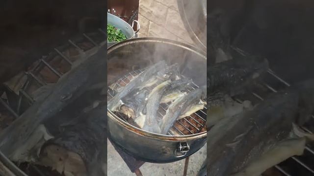 Форель горячего копчения смотреть онлайн