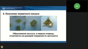 07.02.2022 Консультация по кейсу Каллусные культуры