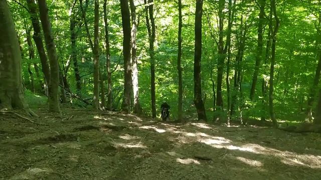 Питбайк 160сс против Kayo 250cc смотреть онлайн