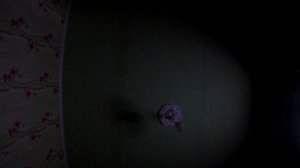 Соседи  резвятся...ночью.