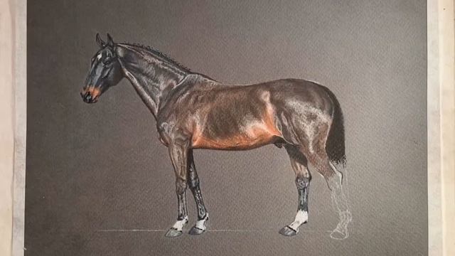 Kannan. Процесс создания картины. Сухая пастель и пастельные карандаши. Pastel pencils смотреть онлайн