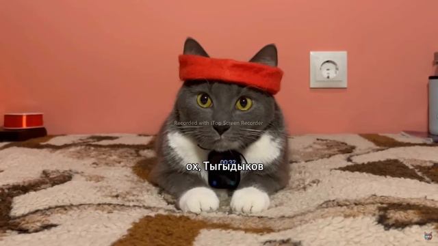 СБОРНИК ЕСЛИ БЫ КОТИКИ ХОДИЛИ В ШКОЛУ(ЛИЧНЫЙ ПО МОЕМУ МНЕНИЮ)
