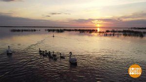 И все это - Волга! Доброе утро. Суббота. Фрагмент выпуска от 20.05.2023