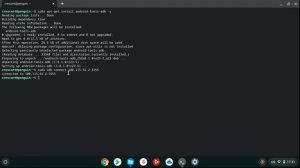 APK Apps on Chrome OS - Installation Guide