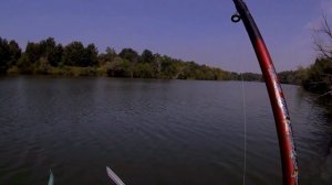 РЫБАЛКА пошла не по плану! АМУРЫ  вместо  КАРПОВ. Рыбалка на Боковой Кивок В АВГУСТЕ #рыбалка#кивок