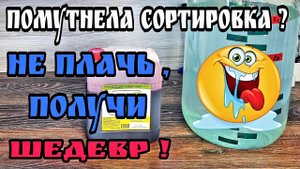 Шикарнейший напиток . Мацерация виноградного сока с дегустацией на камеру   ?