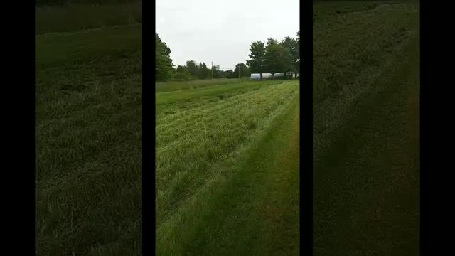 Full size farm rake - Model-1832 - hay used as multch