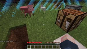 КАК ПРОЙТИ МАЙНКРАФТ ЗА БАРЬЕРОМ ВЫЖИВАНИЕ ОБЗОР БЕЗ МОДОВ