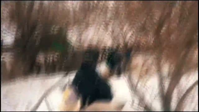 МЫ КУПАЛИСЬ В ЛЕДЯНОЙ ВОДЕ в трескучий мороз! КРЕЩЕНИЕ. ЗАКАЛЯЕМ ДЕТЕЙ. Семейка Селивановых. смотреть онлайн