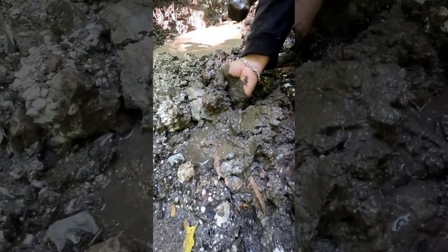 Что нас ждёт за интересным сигналом металлоискателя, в поисках клада с лабрадором смотреть онлайн