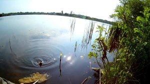 Ловля крупного карася. СЕКРЕТ АКТИВАТОРА КЛЁВА!