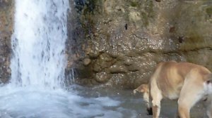 Водопад, который построил Джек