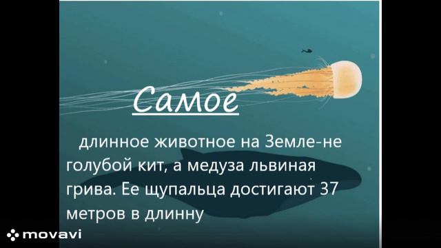 Знание-Сила