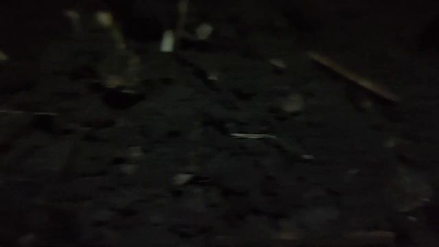 "Ночная охота" на чешую Ивана Грозного! коп 2023г смотреть онлайн