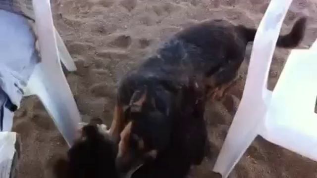 Red rocket смотреть онлайн