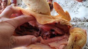 Мясо кур абсолютно разное ? Сравниваем: курица тушка, бройлер, петушок и несушка.