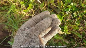 Октябрьские покосы. Коп с Интроником.