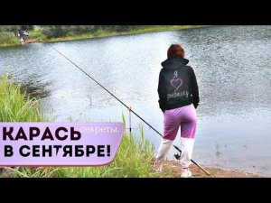 Как ловить карася в сентябре? Рассекречиваю хитрости моего деда с 40 летним стажем ловли.