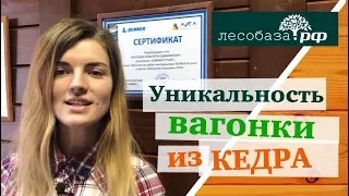 Уникальность вагонки из кедра. Кедровая вагонка