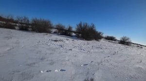 По следу МАТЕРОГО ВОЛКА.охота на волков!(часть 2)wolf hunting