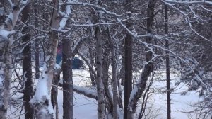 Подготовка лыжни на Лопарьстане