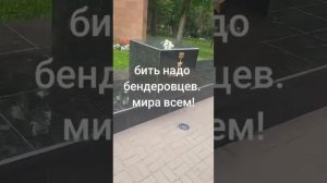 Бить надо бандеровцев! Всем миром