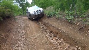 X trail t31 QR25  Бездорожье  РЮО
