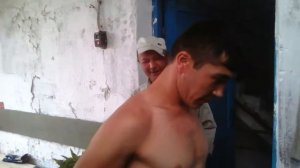 Личения крапива